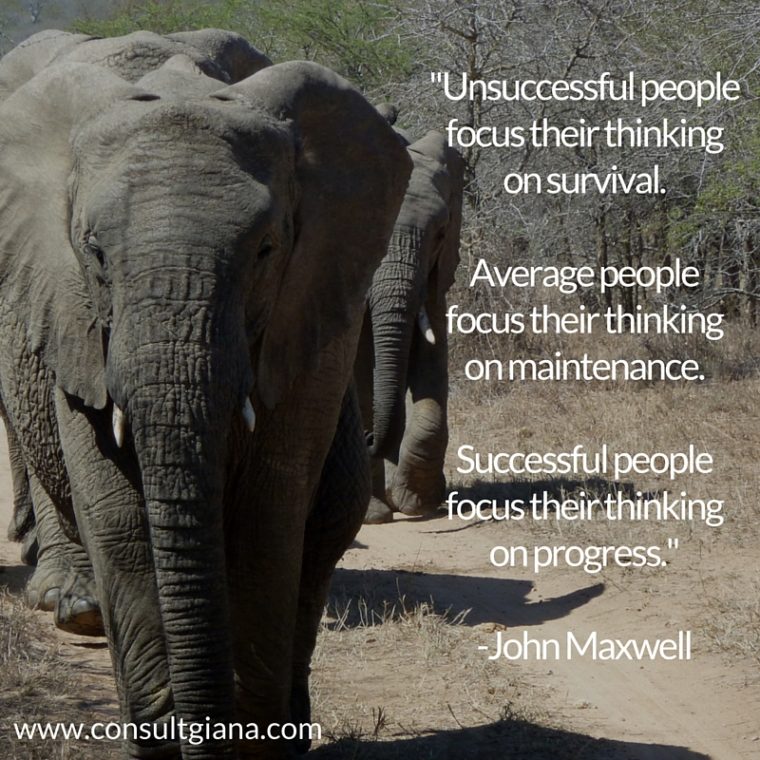 "Unsuccessful people focus their thinking on survival. Average people focus their thinking on maintenance. Successful people focus their thining on progress." -John MaxwellUnsuccessful people focus their thinking on survival.Average people focus their thinking on maintenance.Successful people focus their thining on progress.--John Maxwell
