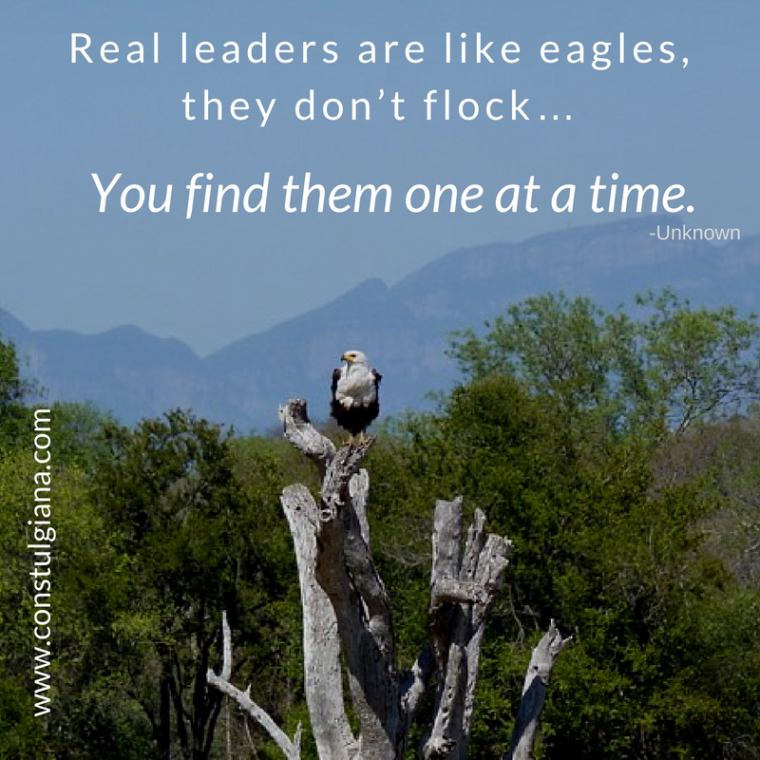 real-leaders-are-like-eagles-they-dont-flock-you-find-them-one-at-a-time